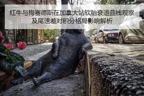 红牛与梅赛德斯在加拿大站软胎衰退曲线观察及尾速差对积分格局影响解析